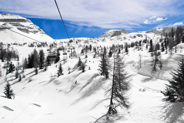 スキーを実行 — ストック写真