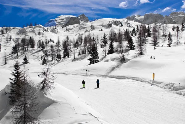 Carrera de esquí —  Fotos de Stock