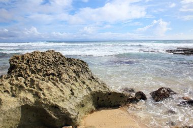 Karang di Pantai Tenggole