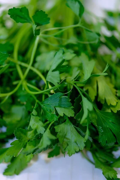 Close-up parsley. Hijau yang segar. — Stok Foto