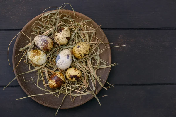Easter quail eggs in plate with hay — Stock Photo, Image