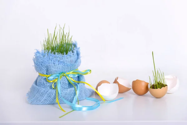 Decoração de Páscoa com casca de ovos e grama jovem — Fotografia de Stock
