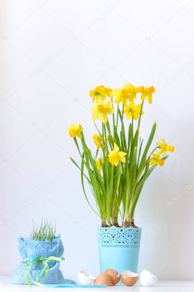 Easter flowers narcissus in flowerpot and eggs shell