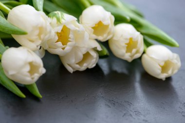 Siyah zemin üzerinde beyaz laleler