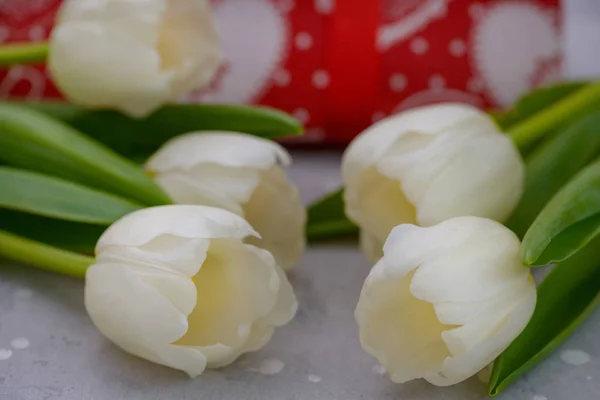 Szczelnie-do góry białe tulipany — Zdjęcie stockowe