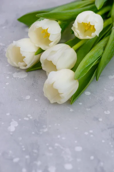 Kilka wiosna kwiatów tulipany — Zdjęcie stockowe