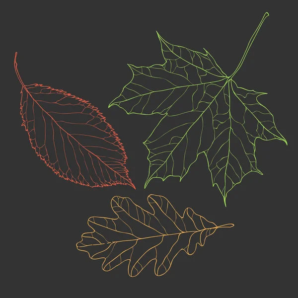 Hojas de otoño - arte de línea de color . — Vector de stock