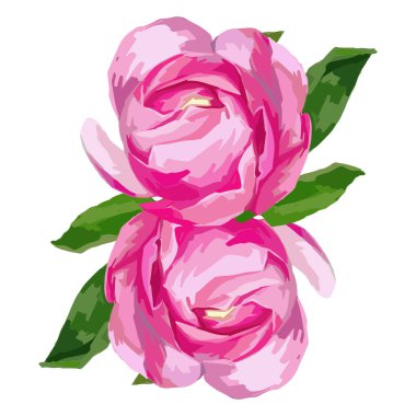 Şakayık 8 Mart sembolü.