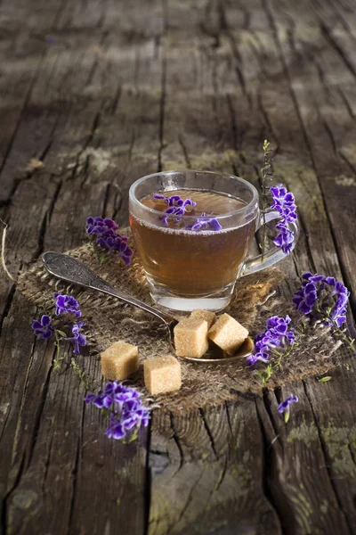 Tea with flowers Duranta repens — Stock Photo, Image