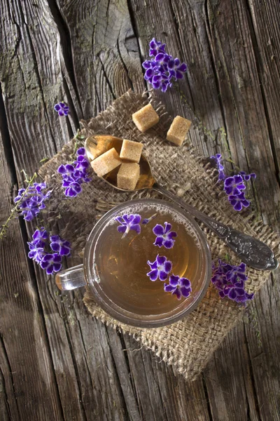 Tea with flowers Duranta repens — Stock Photo, Image