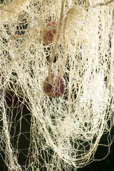 Fishing net spread — Stock Photo, Image