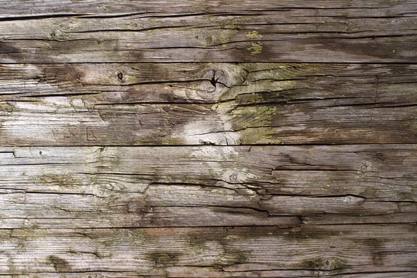 Vieilles planches en bois — Photo