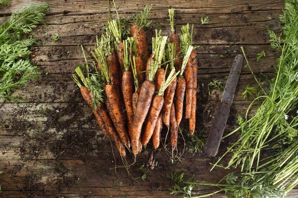 Limpiar un montón de zanahorias — Foto de Stock