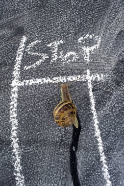 Sarmal yavaş yolculukta