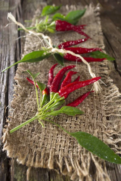 Bunch of hot pepper — Stock Photo, Image