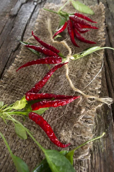 Bunch of hot pepper — Stock Photo, Image