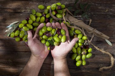 büyük yeşil zeytin