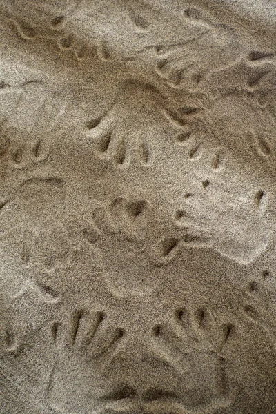 Handafdrukken in het zand — Stockfoto