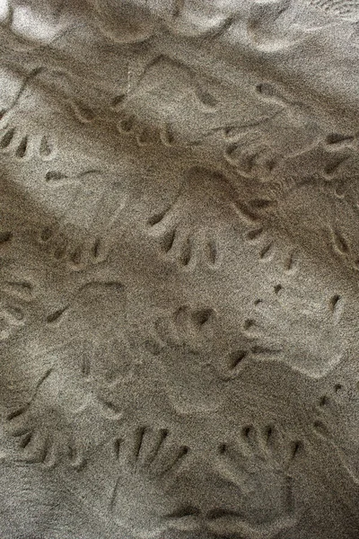 모래에 손으로 찍은 그림 — 스톡 사진