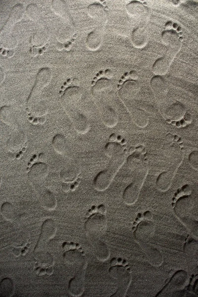 Lábnyomok a homokban. — Stock Fotó