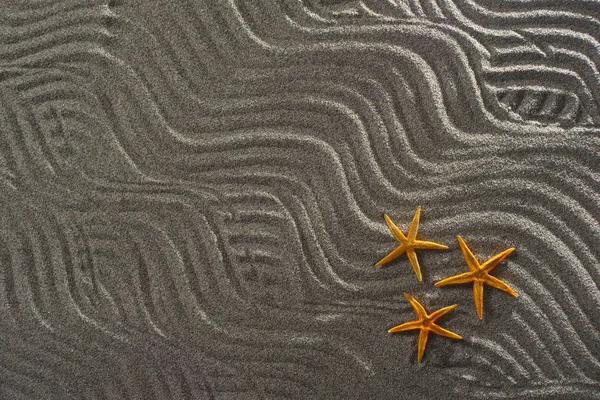 Estrellas de mar en la arena — Foto de Stock