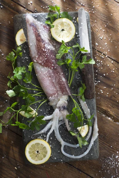 Frischer roher Tintenfisch — Stockfoto