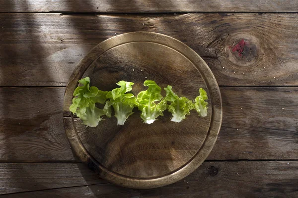 Piatto d'insalata — Foto Stock