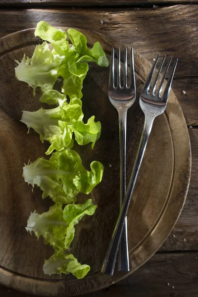 Tallrik sallad — Stockfoto