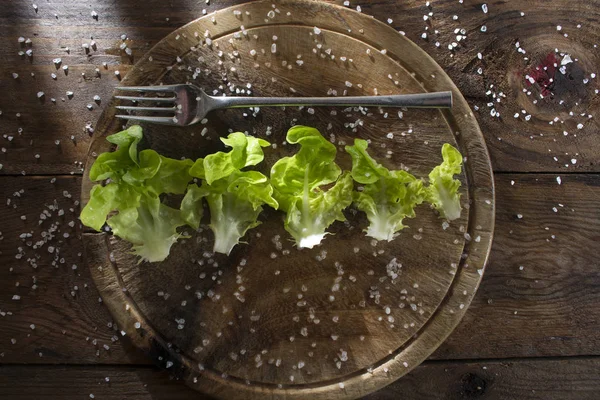 Тарелка салата — стоковое фото