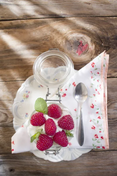 Yogur y frambuesas — Foto de Stock