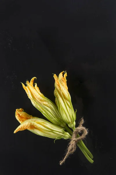 The yellow pumpkin flower — Stock Photo, Image