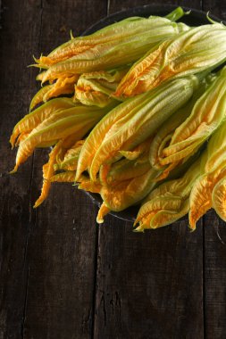 Taze sarı kabak çiçeği