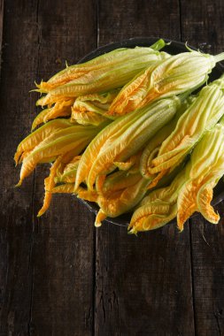 Taze sarı kabak çiçeği