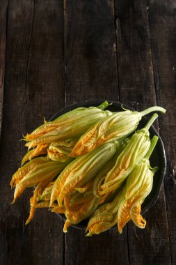 Taze sarı kabak çiçeği