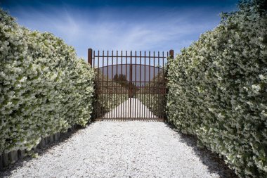 Avenue çiçek açan Yasemin ile