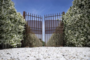 Avenue çiçek açan Yasemin ile