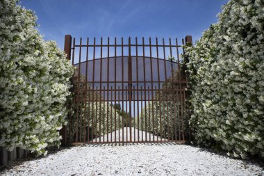 Avenue çiçek açan Yasemin ile