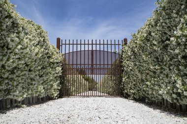 Avenue çiçek açan Yasemin ile