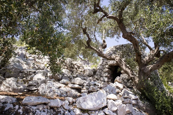 The Pajare of Salento — Stock Photo, Image