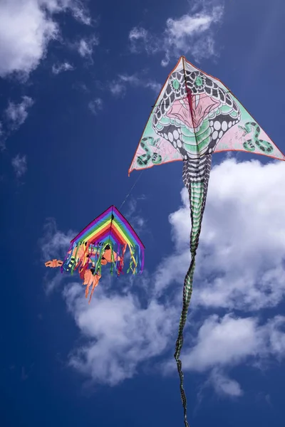 Cerf-volant coloré dans le ciel — Photo