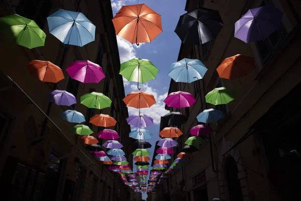 Paraguas de diferentes colores — Foto de Stock