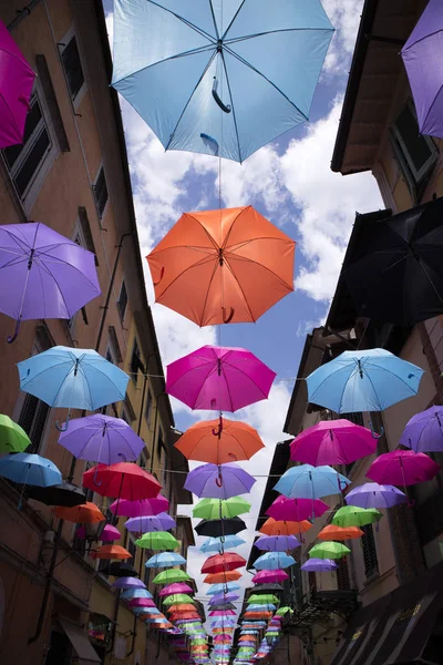Umbrellas of different colors — Stock Photo, Image