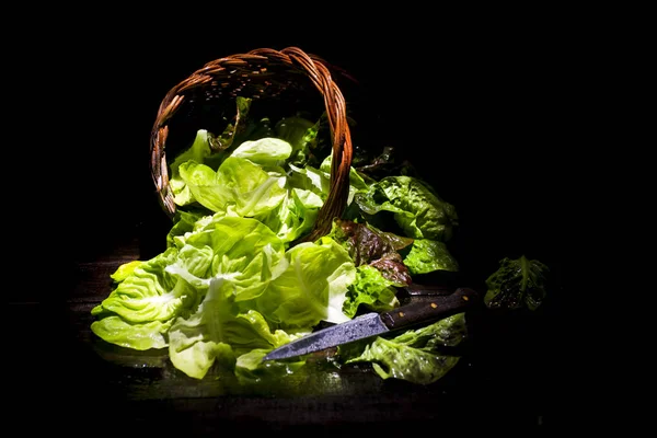 Presentazione di insalata verde nel cesto — Foto Stock