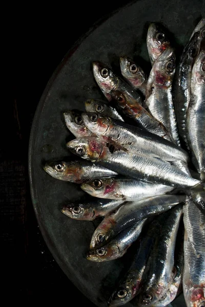 Raw anchovies in dish — Stock Photo, Image