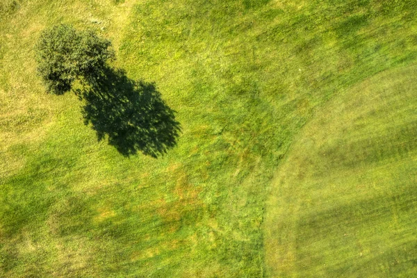Golf pemandangan lapangan dari atas — Stok Foto