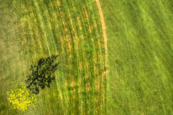 Vedere teren de golf de sus — Fotografie, imagine de stoc