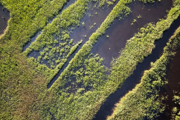 Водно-болотних угідь Тоскана — стокове фото