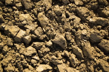 taze sürülmüş alan