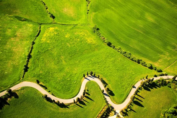 Camino de Montichiello Siena — Foto de Stock