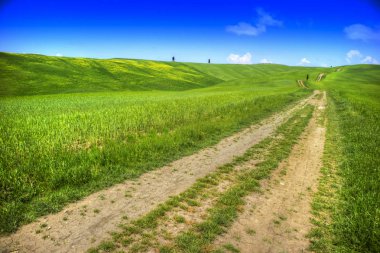 Valley Orcia görünümünü